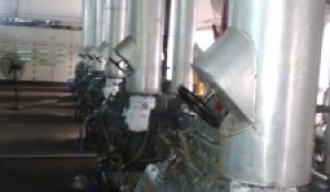 Hình CTy Cadovimex II